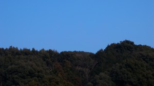 P_20160227_151254